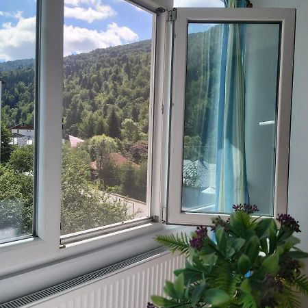 Apartment Valea Azugii Azuga Εξωτερικό φωτογραφία