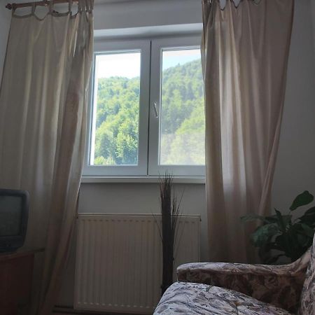 Apartment Valea Azugii Azuga Εξωτερικό φωτογραφία