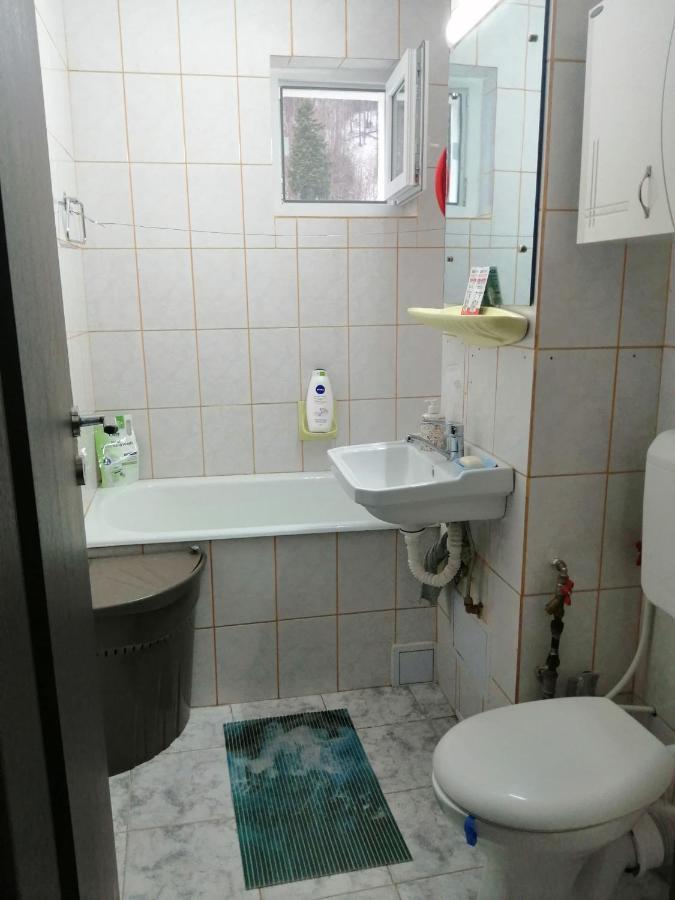 Apartment Valea Azugii Azuga Εξωτερικό φωτογραφία