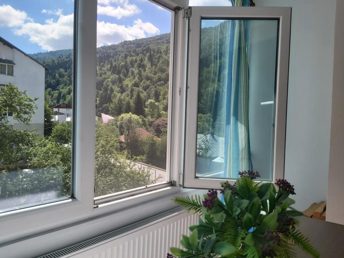 Apartment Valea Azugii Azuga Εξωτερικό φωτογραφία